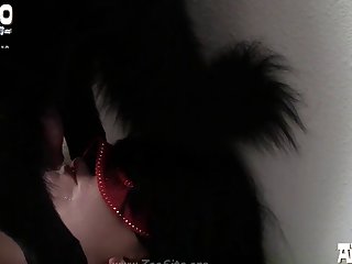 066 Zhd Animal Porn 1080p 720p 06 003