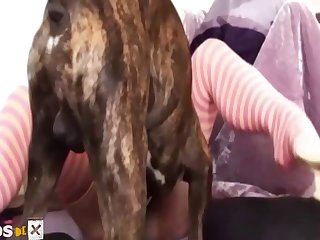 Of Scissors Leaving A Well Trimmed Runway Of Fine