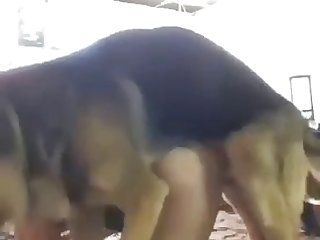 Home Made Lesbian Video