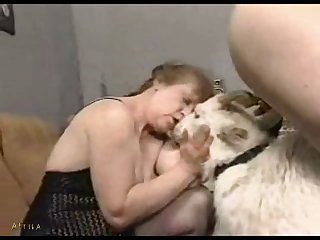 [animal]topscore Grandma's,goat,dor & Bull Sex Farm (part 10)
