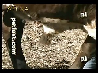Petlust M11 2 Zoo Bull Sex Farm Boys (part 2)