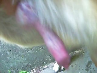 Home Made Wife Sharing