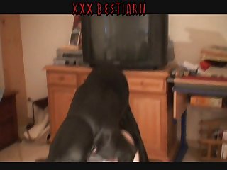 London Zoo Tube Station