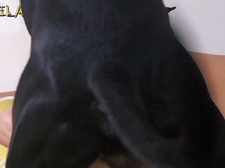 Belly Button Licking Porn