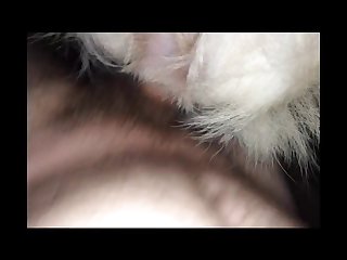 Is Pig The Dirtiest Animal