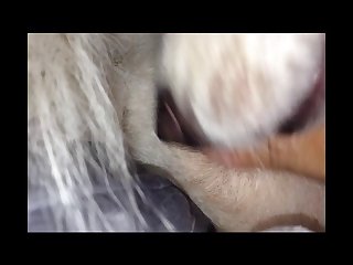 Granny Pmv Porn