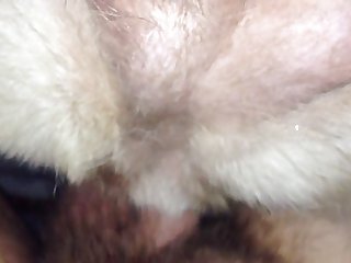 Girl Fucks Dog Stories