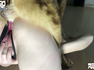 Bestiality Bull Porn