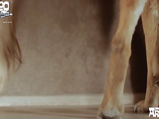 Animated Bestiality Porn Gifs
