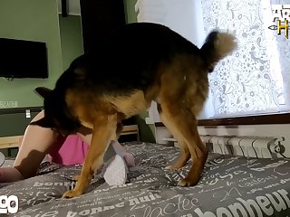 Bestiality Reaction Porn