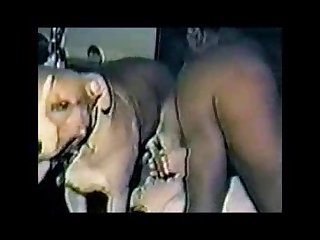 Porn Animal Gay