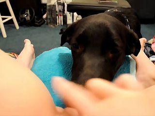 Isabelle Animal Crossing Scat Porn