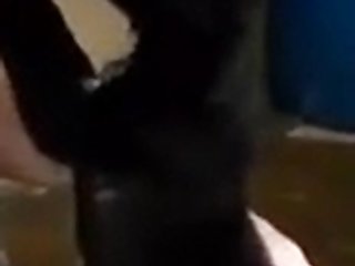Issable Animal Crossing Porn