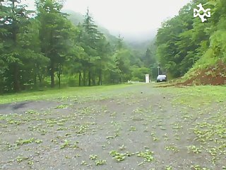 Margie Animal Crossing Porn