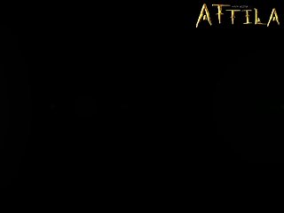 Porn Guy Fuck Animal