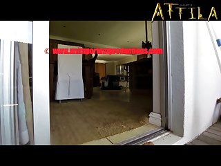 Xxx With Animal Porn