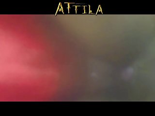 Free Porn Hentai Animal