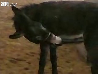 Megan Animal Crossing Porn