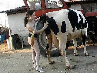 Animal Porn Buffalo