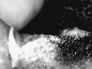Animal Breeding Videos Porn