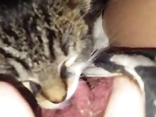 Coco Animal Crossing Porn