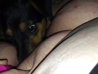 Hot Sex Animal Porn