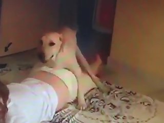 Men Fucks Animal Porn