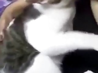 Animal Porn Xxx Video