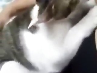 Animal Porn Xxx Video