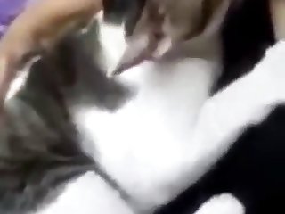 Animal Porn Xxx Video