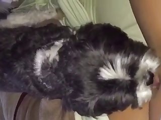 Animal 3d Hentai Porn