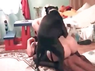 Porn Animal With Woman