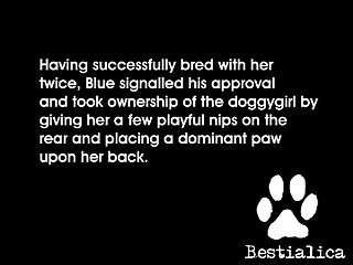 Zoo Sex Videos.com