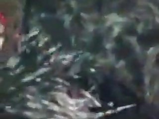 Tickzoo Video Downloader