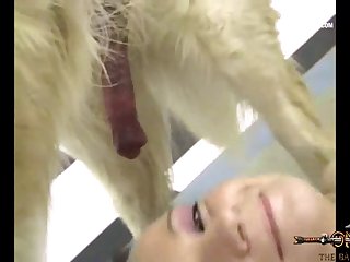 Zoofilia Con Labrador