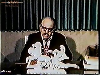 La Zoofilia Es Delito