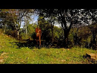 Xxx Animal Zoofilia