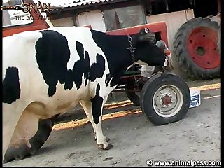 Zoofilia Ballena