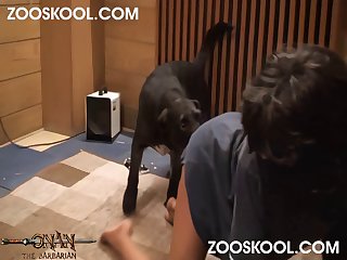 Cachorro Gozando Zoofilia