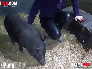 Free Zoofilia Xxx