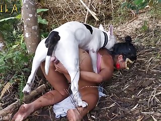 Zoofilia Sexo Com Animais