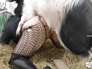 Zoofilia Gangbang