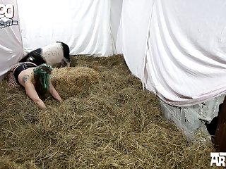Zoofilia Gangbang