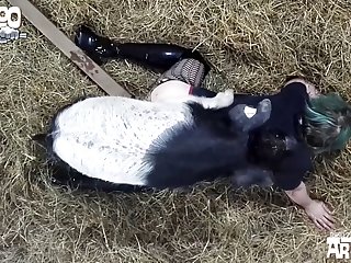 Zoofilia Gangbang