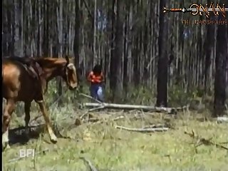 Zoofilia Con Caballos Pony