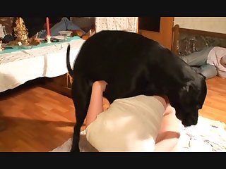 Zoofilia Hombre Con Llegua