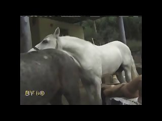 Extreme Porn Movies