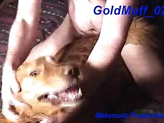 Extreme Huge Cock Anal Porn