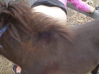 Extreme Porn Free Videos