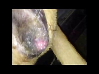 Japanese Extreme Hardcore Porn